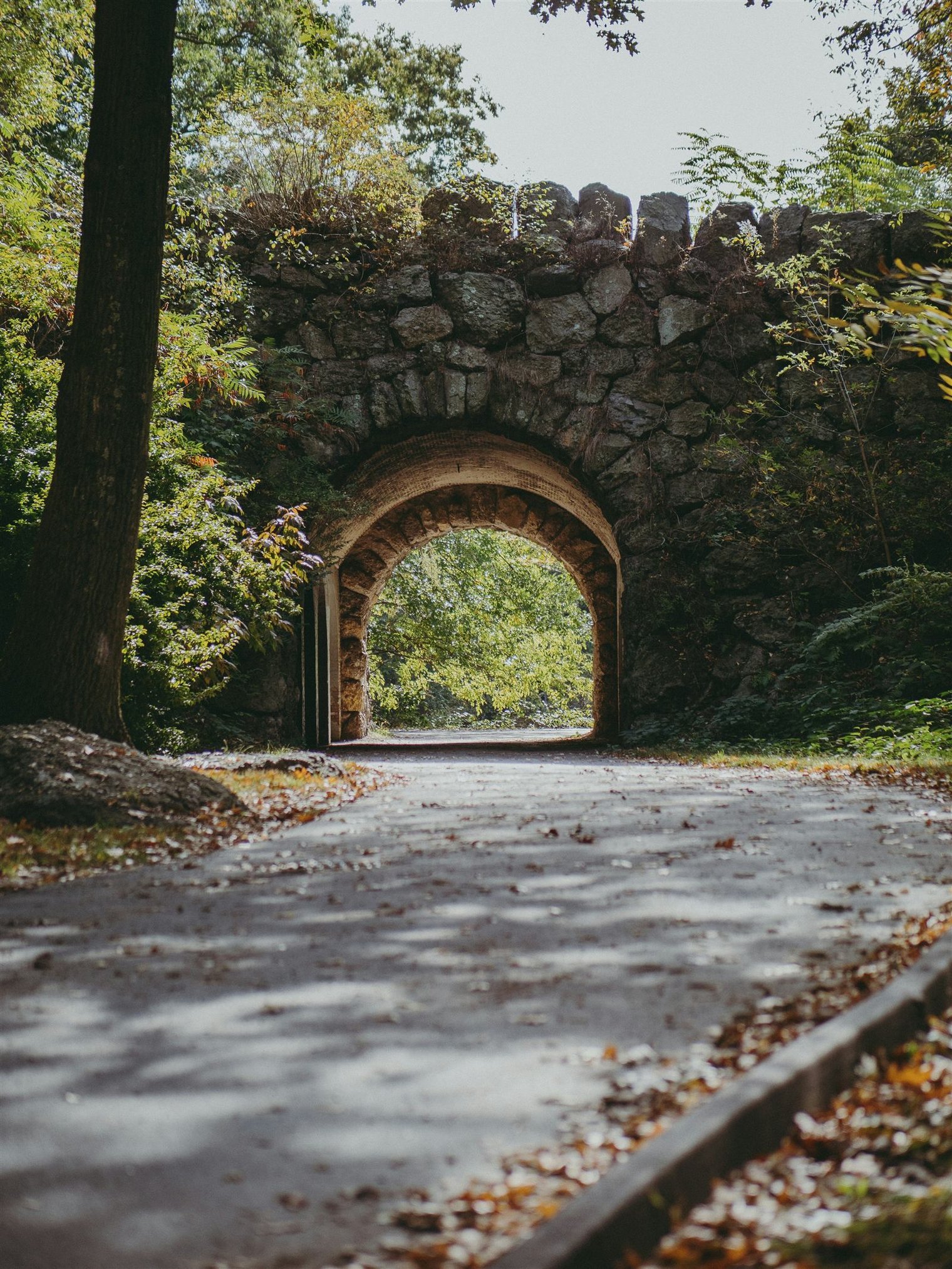 Overhead shot of a planner open to a 90-day calendar with milestone checkmarks
